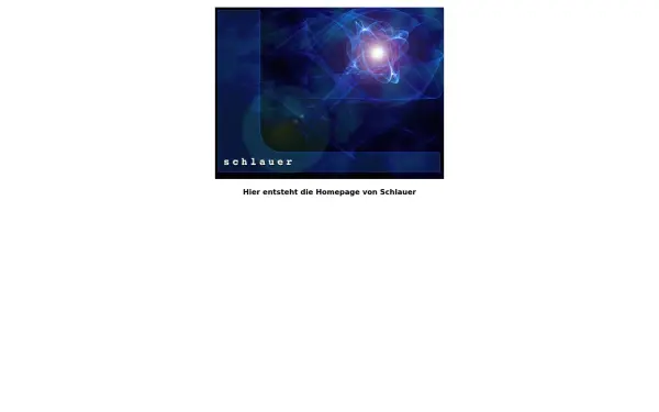 www.schlauer.eu