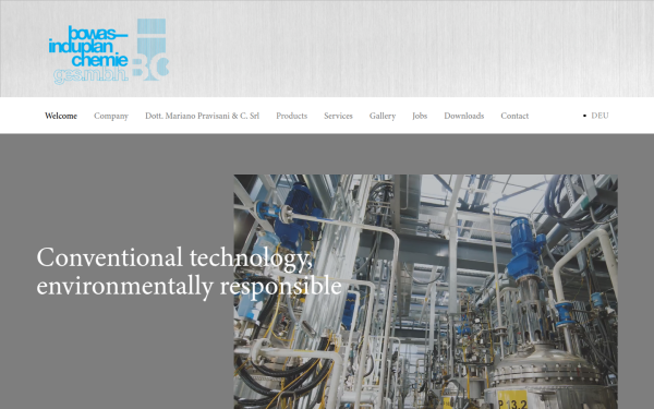 bowas-induplan.com