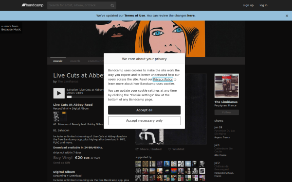 theliminanas.bandcamp.com