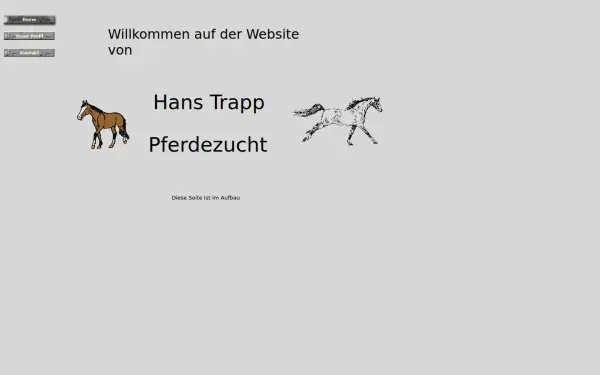 hans-trapp.de