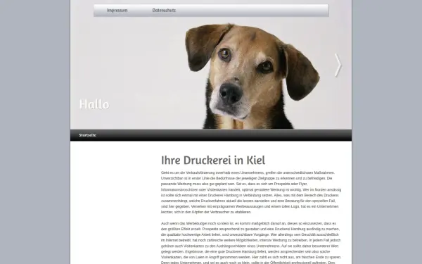 druckerei-kiel.de