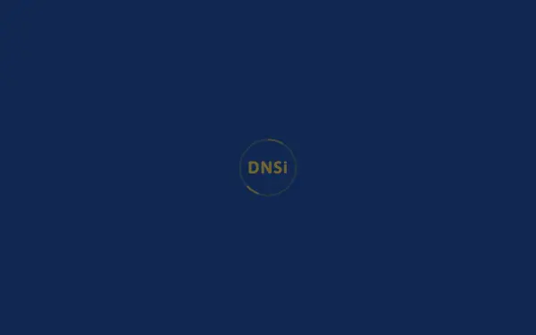 dnsi.de