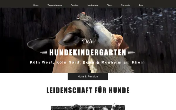 www.mc-dog.de