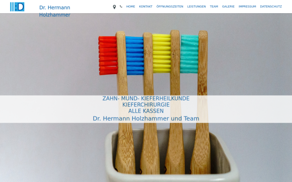 dr-holzhammer.at