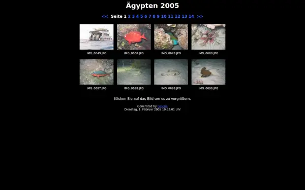 hasselfeldt-online.de