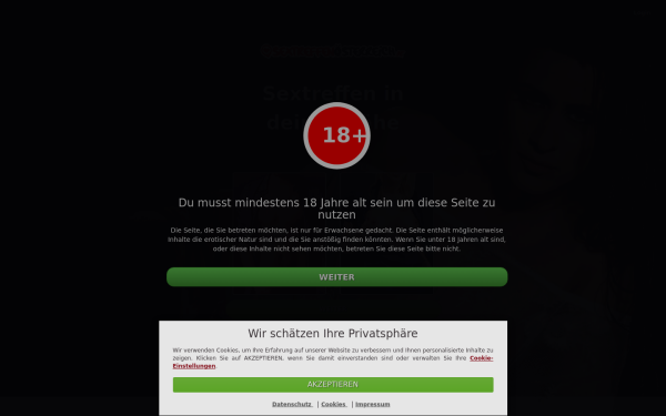 www.sextreffenosterreich.at
