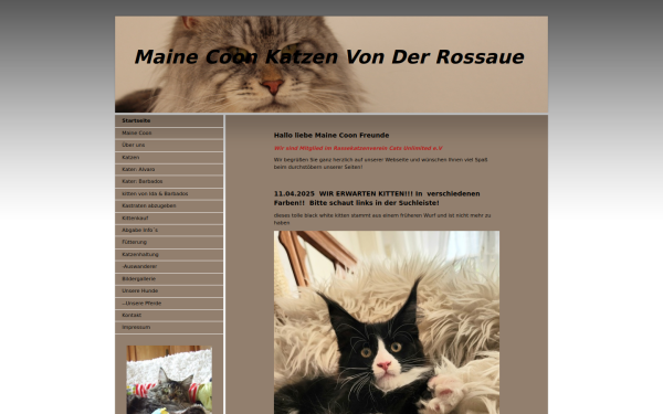 www.maine-coons-von-der-rossaue.de