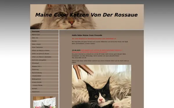 www.maine-coons-von-der-rossaue.de