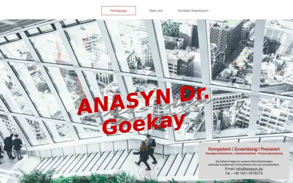 anasyn.de