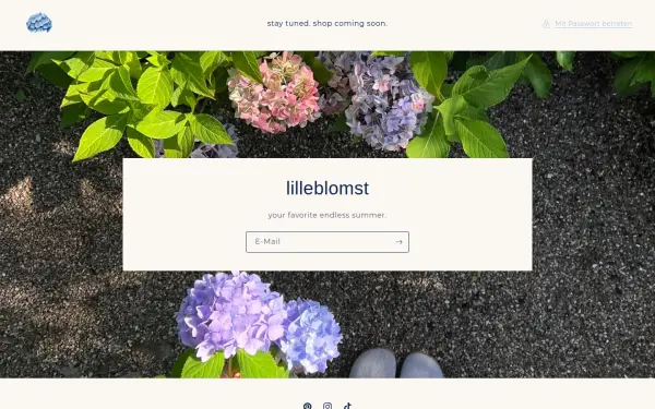 lilleblomst.de