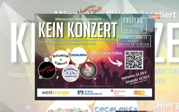 maennerchor-plaidt.de