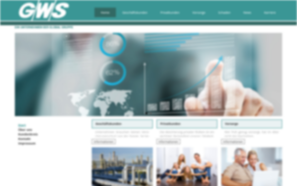 gws-gruppe.de