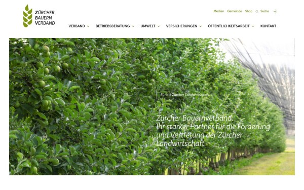 www.zbv.ch
