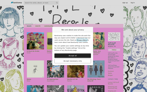 riotsnotdiets.bandcamp.com
