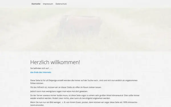 dasendedesinternets.de