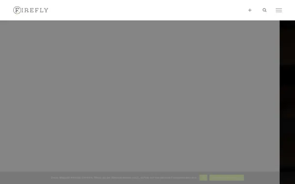 agentur-firefly.de