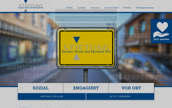 strauf-pies-stiftung.de