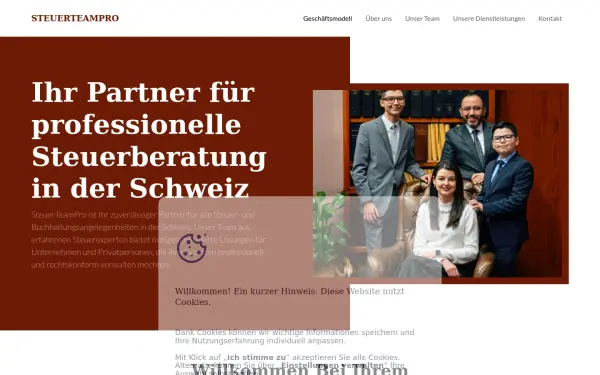 steuerteampro.com