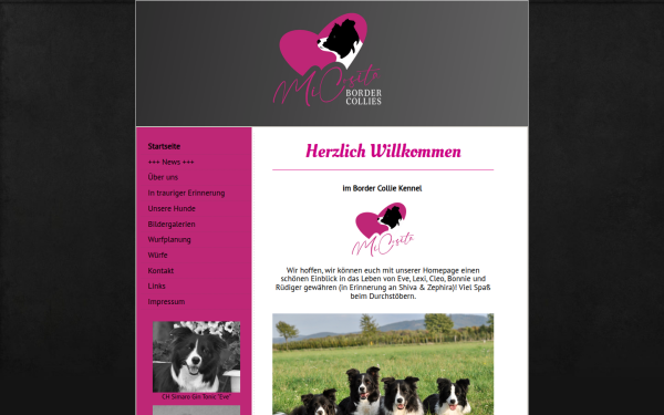 www.micositabordercollies.at