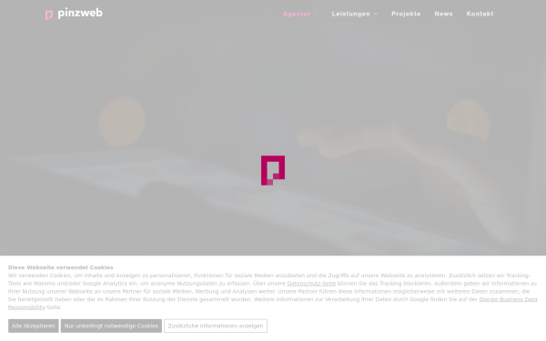 www.pinzweb.at