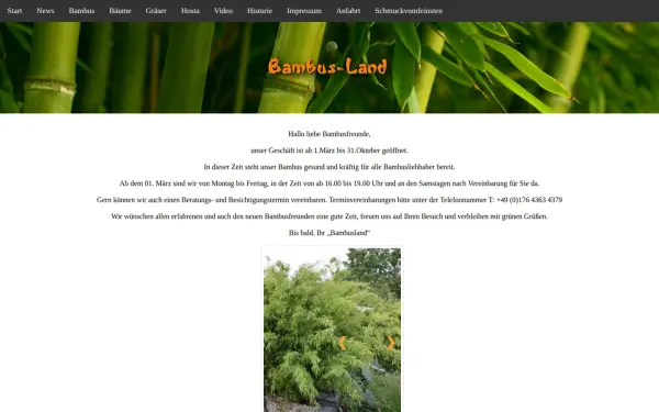 bambus-land.de