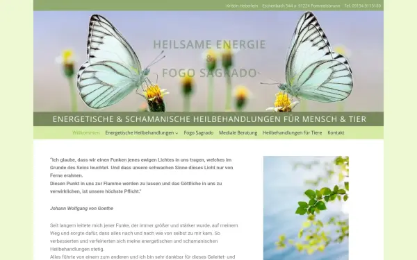 heilsame-energie.de