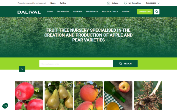 www.dalival.com