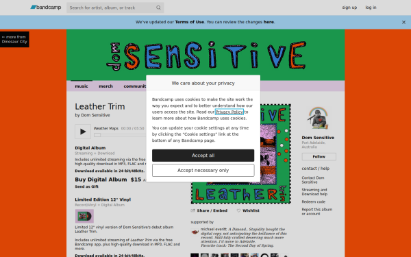 domsensitive.bandcamp.com