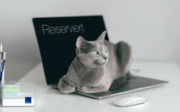 gewerbe-neutraubling.de