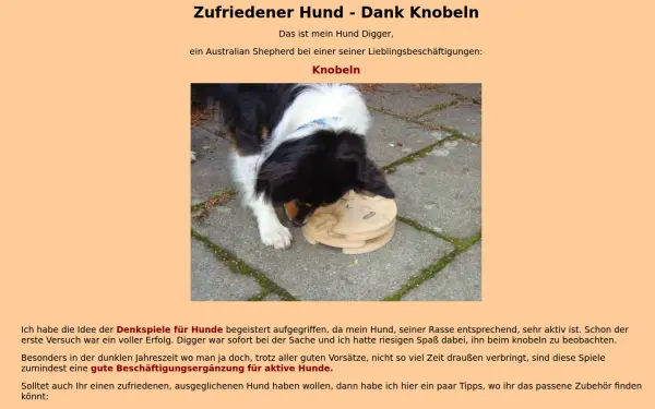 denkspielzeug.de