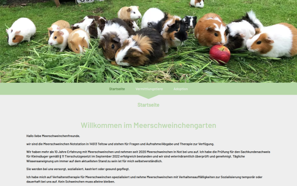 meerschweinchengarten.de