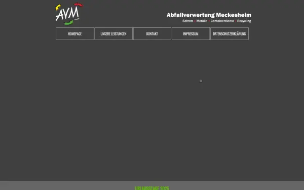 avm-meckesheim.de