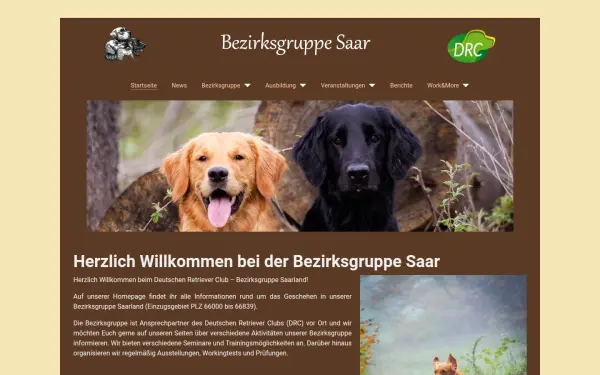 www.drc-saar.com