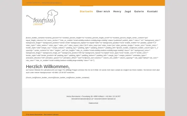 www.bernsteiner-labrador.at