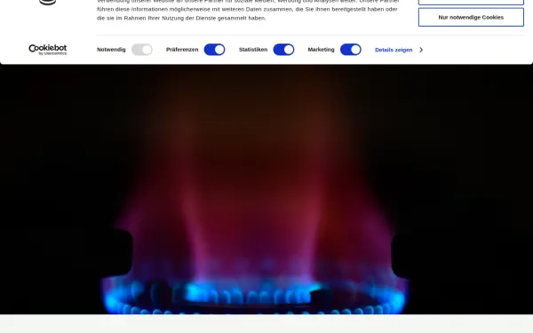 markt-consult.com