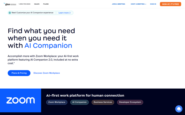 gbsn.zoom.us