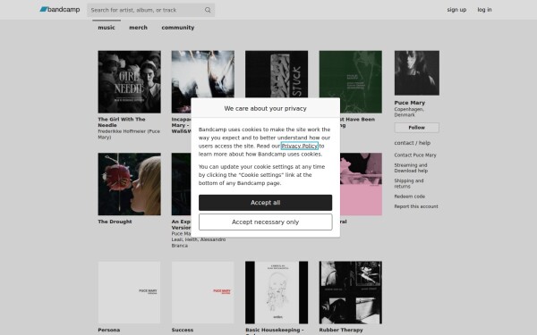 puce-mary.bandcamp.com