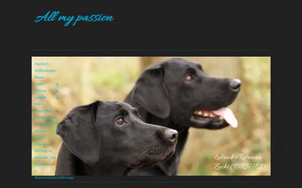 all-my-passion.de