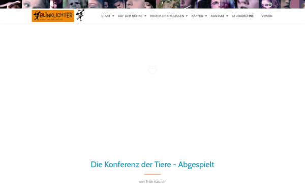 die-blinklichter.de