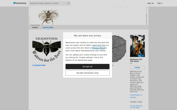 waitressforthebees.bandcamp.com