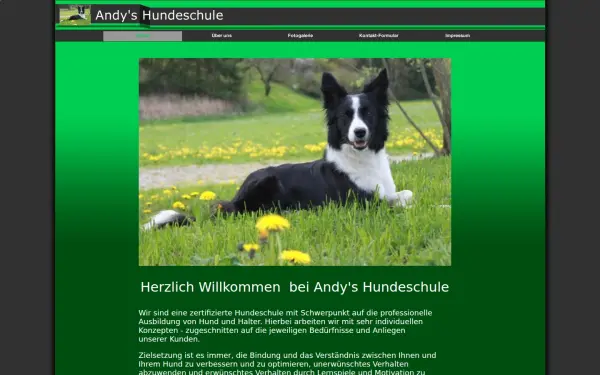 andys-hundeschule.de