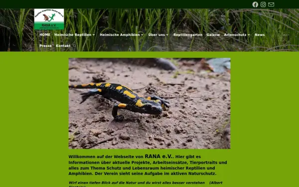 reptilien-amphibien.de