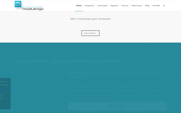 www.modulingo.de