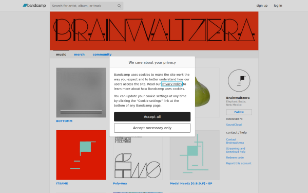 brainwaltzera.bandcamp.com