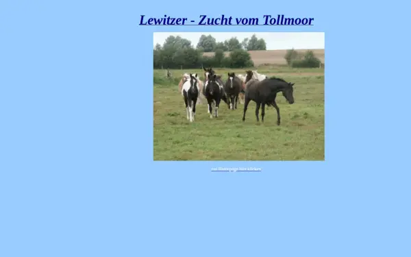 lewitzer-vom-tollmoor.de
