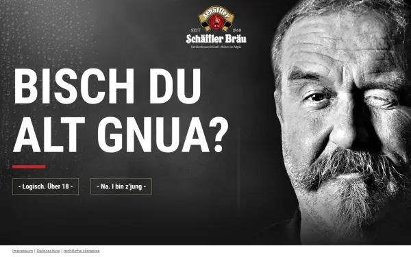 schaeffler-braeu.de