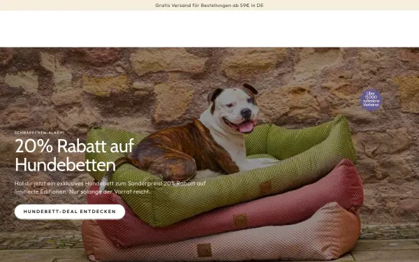 bettenhaus-traumhund.de