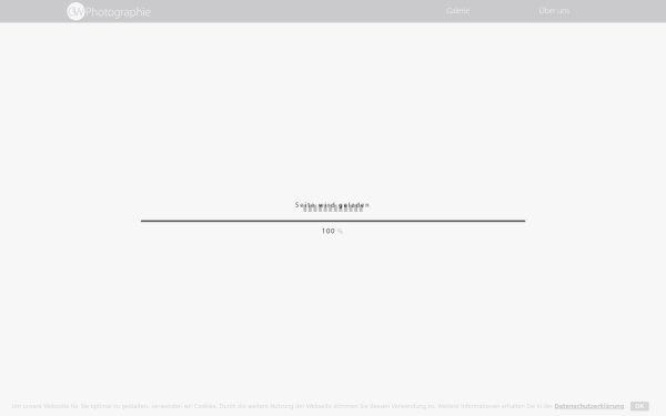 geiser-weilepp.com