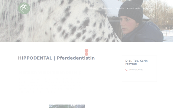 www.hippodental.com