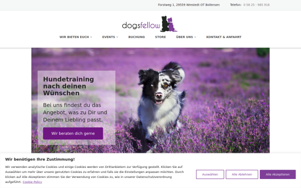 hundetrainer-uelzen.de